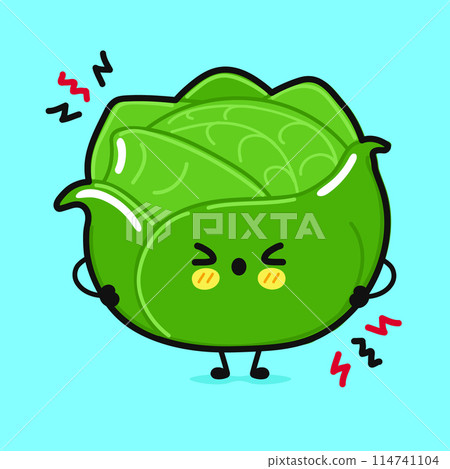 Angry Cabbage character. Vector hand drawn cartoon kawaii character illustration icon. Isolated on blue background. Sad Cabbage character concept Angry Cabbage character. Vector hand drawn cartoon kawaii character illustration icon. Isolated on blue background. Sad Cabbage character concept 114741104