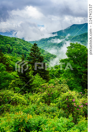Smokies overlook 114741537