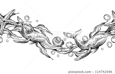 Blue whales, wave shaped seaweed with starfish and water bubbles. Graphic illustration hand drawn in black ink. Seamless pattern border EPS vector. 114742046