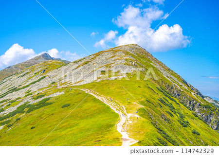 A hiker traverses a trail on Chopok Mountain with lush green slopes and clear blue skies. Low Tatras, Slovakia A hiker traverses a trail on Chopok Mountain with lush green slopes and clear blue skies. Low Tatras, Slovakia 114742329