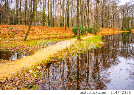 A serene path curves along the lakeside amid colorful autumn leaves in Rhododendron Park, Kromlau, Germany. A serene path curves along the lakeside amid colorful autumn leaves in Rhododendron Park, Kromlau, Germany. 114742336