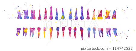 Dental Row. Vector colorful watercolor illustration Dental Row. Vector colorful watercolor illustration 114742522
