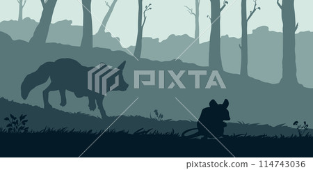 Wildlife forest landscape. Fox hunting mouse. Natural card with animal silhouettes. Horizontal outdoor print. Background banner. Shape graphic Wildlife forest landscape. Fox hunting mouse. Natural card with animal silhouettes. Horizontal outdoor print. Background banner. Shape graphic 114743036
