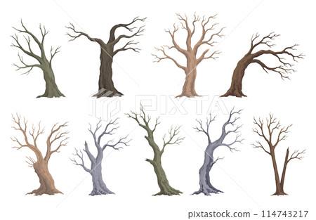 Old dead tree set. Hand draw leafless trunks. Winter or autumn season plants icons, dry naked branch silhouette. Nature ecology problems concept. Isolated vector illustration 114743217