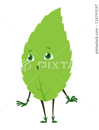 Green leaves character. Cute happy funny leaf character. Vector illustration isolated on white background Green leaves character. Cute happy funny leaf character. Vector illustration isolated on white background 114743247