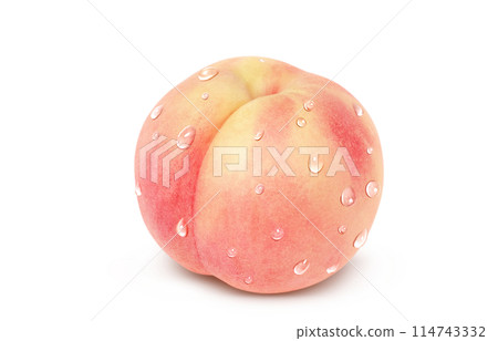 Peach illustration realistic white background 114743332