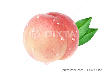 Peach illustration realistic white background Peach illustration realistic white background 114743354