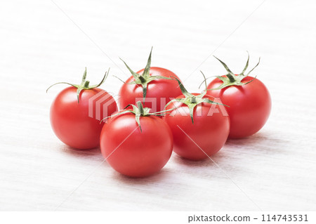 新鮮採摘的小番茄，新鮮番茄，健康蔬菜，色彩鮮豔的小番茄圖片素材 114743531