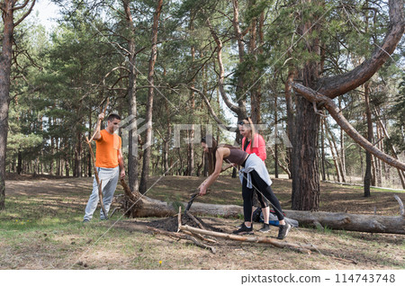 Three tourists collect firewood for a fire in the forest. Three tourists collect firewood for a fire in the forest. 114743748