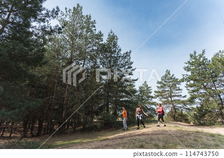 Three friends are walking in the forest. Three friends are walking in the forest. 114743750