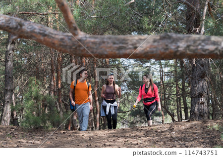 Three friends are walking in the forest. 114743751