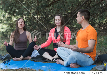 Three friends meditate while sitting in the lotus position in the forest. Three friends meditate while sitting in the lotus position in the forest. 114743753
