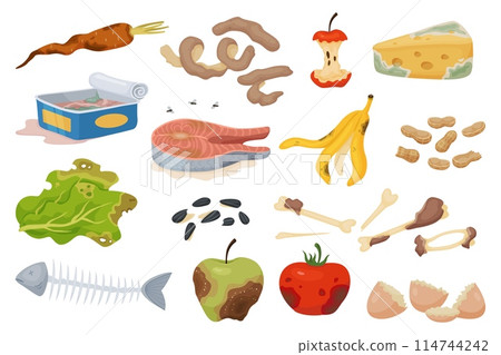 Natural organic waste. Spoiled vegetables or fruits. Rotting food. Moldy products with expired shelf life. Recyclable garbage. Cheese with mildew. Stinking canned fish. Recent vector set 114744242