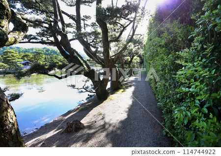 Route of Yosuien, a nationally designated cultural property, Daimyo garden, Tokugawa family, Wakayama city 114744922
