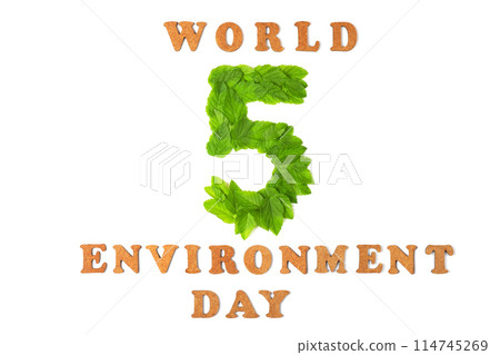Number 5 of green leaves on white background. Happy Environment day, 05 June. Beat plastic pollution. Ecology concept. Number 5 of green leaves on white background. Happy Environment day, 05 June. Beat plastic pollution. Ecology concept. 114745269
