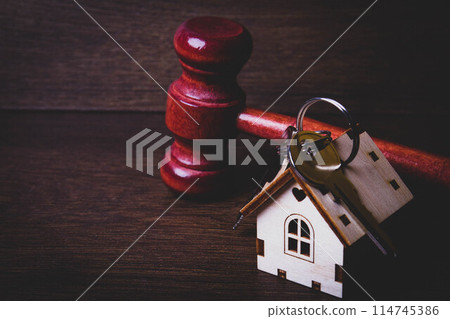 Arrest of house. Court decision on sale of house. Real estate auctions. 114745386