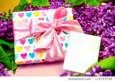 beautiful dark purple fresh lilac on the pink background, purple background 114745794