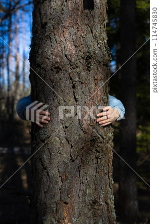 Standing behind a tree, a woman hugs him with her arms. A woman activist is fighting to save the forest from deforestation. The concept of saving the planet's forests. 114745830