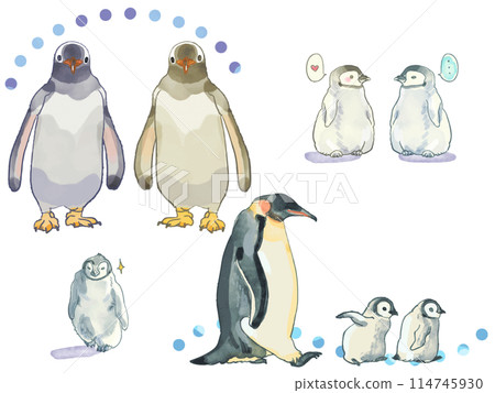 企鵝水彩插圖 114745930