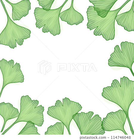 Ginkgo branch with leaves wreath frame, vector illustration for design 114746048