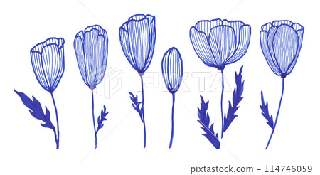 Tulip's flower set for banner or invitation card. Vector illustrations, isolate on white background, blue ink hand drawn line art spring flower clip art 114746059