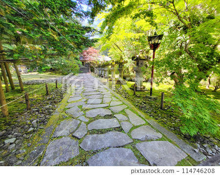 Taiyuinbyo Shrine and temple scenery in Nikko 114746208
