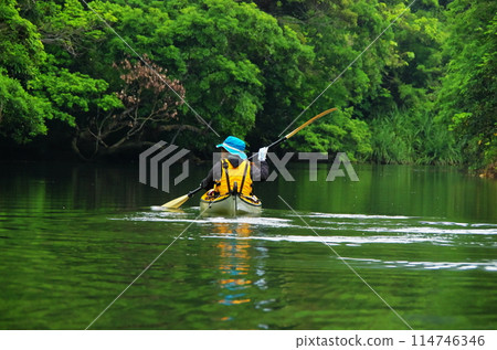 在沖繩縣西表島的紅樹林河劃獨木舟 114746346