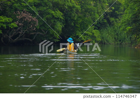 在沖繩縣西表島的紅樹林河劃獨木舟 114746347