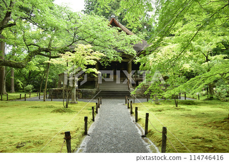 三千院、綠樹環繞的參道和大條極樂院【重要文化財產】 114746416