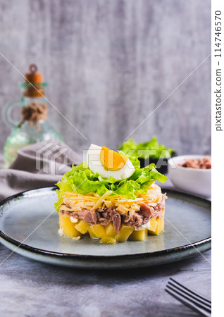 Appetizing salad of canned tuna, potatoes, cheese, lettuce and eggs on a plate vertical view Appetizing salad of canned tuna, potatoes, cheese, lettuce and eggs on a plate vertical view 114746570