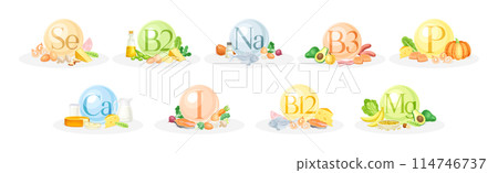 Food Group and Vitamin Category of Macro and Micronutrient Vector Set 114746737