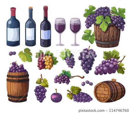 Wine bottles. Grapes set, grapevine vine bowl grape wooden barrels. Agriculture farm elements, drinks and fruits, vector clipart 114746760
