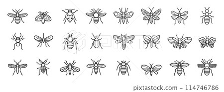 Set of simple insect line icons. Bee mosquito fly beetle. Flying seasonal insects. Outline stroke vector objects 114746786