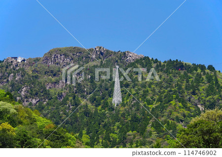 鮮綠的御在所山【禦在所索道】 114746902