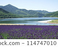 南富良野町的金山湖與薰衣草田 114747010