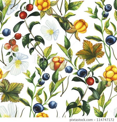 Watercolor seamless pattern with hand drawn cowberry, cranberry and blueberry with berries, leaves, branches flowers. Botanical forest berry illustration on white isolated background. Good for 114747172