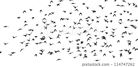 Flying birds silhouette flock. Not AI, Free birds abstraction . Vector illustration 114747262