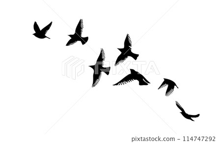 Flying birds silhouette flock. hand drawing. Not AI, Vector illustration 114747292