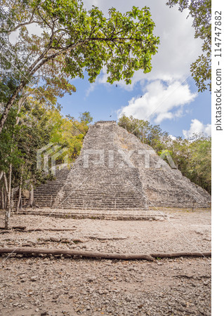 Coba, Mexico. Ancient mayan city in Mexico. Coba is an archaeological area and a famous landmark of Yucatan Peninsula. Cloudy sky over a pyramid in Mexico Coba, Mexico. Ancient mayan city in Mexico. Coba is an archaeological area and a famous landmark of Yucatan Peninsula. Cloudy sky over a pyramid in Mexico 114747882