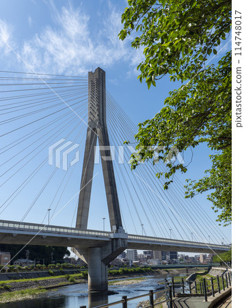 橫跨豬名川的新豬名川大橋 114748017