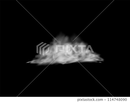 Vector earthen smog with magic dust cloud effect on isolated background. 114748090