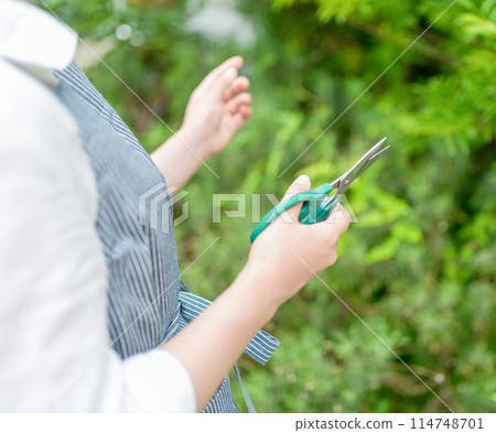 A woman wearing an apron A woman wearing an apron 114748701