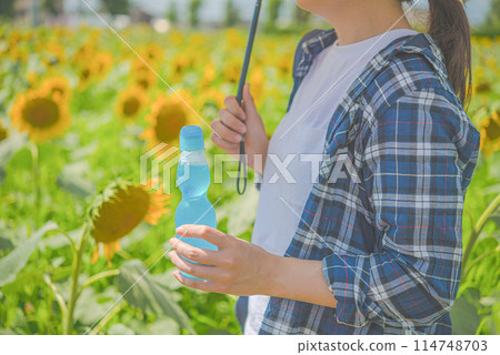 向日葵田與女性肖像：暑假版 114748703