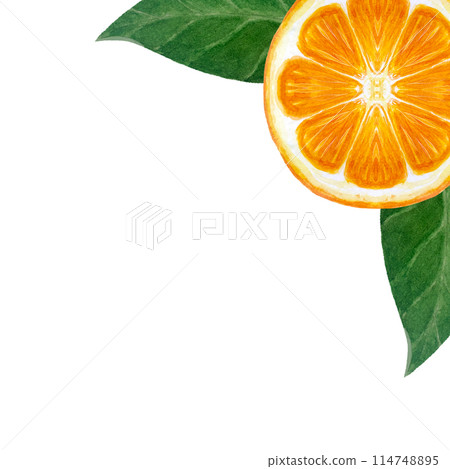 Orange fruit, mandarine slice with green leafs watercolor corner frame isolated on white. High quality hand drawn art great for food design, packages, menu, posters, organic food, cards and logo 114748895