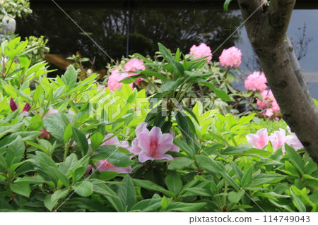 我繞著大倉運動場走了一圈。 114749043