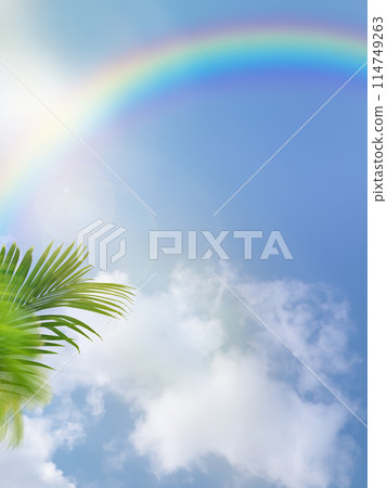 Summer sky image material 114749263