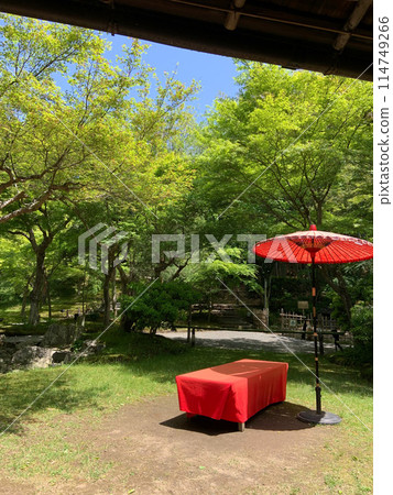 初夏時刻，京都高台寺 114749266