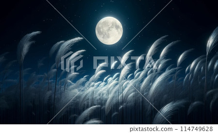 滿月和潘帕斯草的風景 114749628