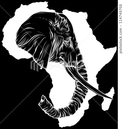 Elephant head in white line on black background 114749708
