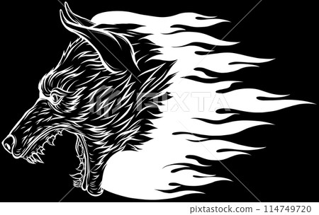 Wolf head in white line on black background Wolf head in white line on black background 114749720